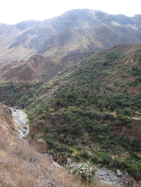 Canhão de Colca