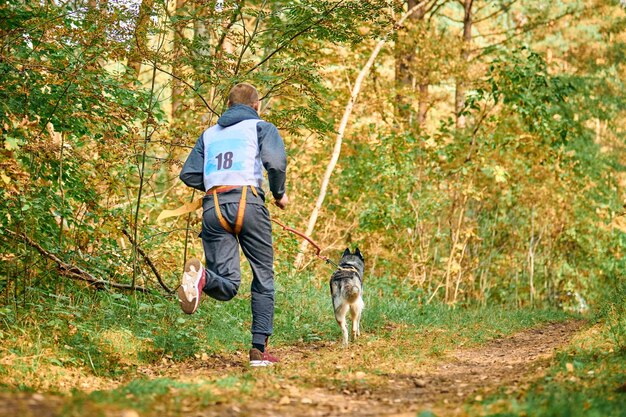 Canicross cross country corriendo con perro, musher masculino atlético corriendo con perro Husky siberiano a lo largo de la vista trasera del sendero del bosque, deportes de carreras de perros de trineo, actividad al aire libre