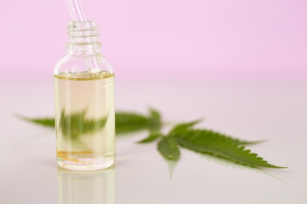 Cannabis ätherisches Öl CBD-Ölextrakt in Tropfflasche mit grünem Cannabisblatt Marihuana Medizinisches Marihuana Kräuterheilpflanze Platz für Text