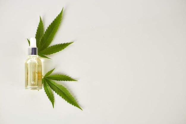 Cannabis ätherisches Öl CBD-Ölextrakt in Tropfflasche mit grünem Cannabisblatt Marihuana Medizinisches Marihuana Kräuterheilpflanze Platz für Text