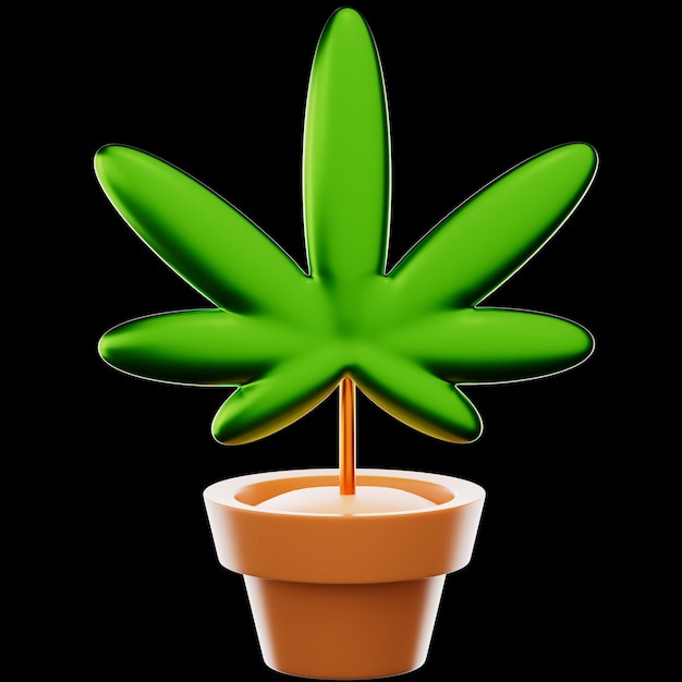 Cannabis Cannabis Marihuana Grünes Blatt Blatt Drogenpflanze Hanf