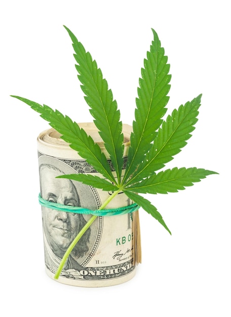 El cannabis y el dinero