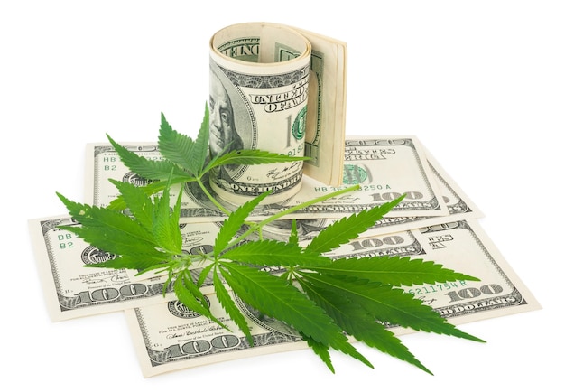 El cannabis y el dinero