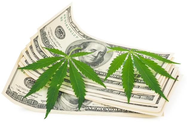 El cannabis y el dinero