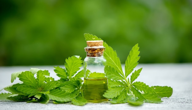 Cannabis erva e folhas para caldo de tratamento