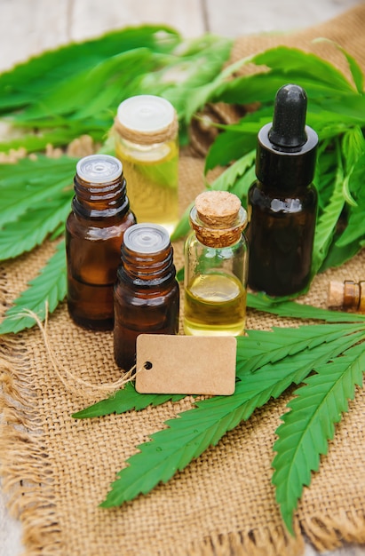 Cannabis erva e folhas para o caldo de tratamento, tintura, extrato, óleo. Foco seletivo.