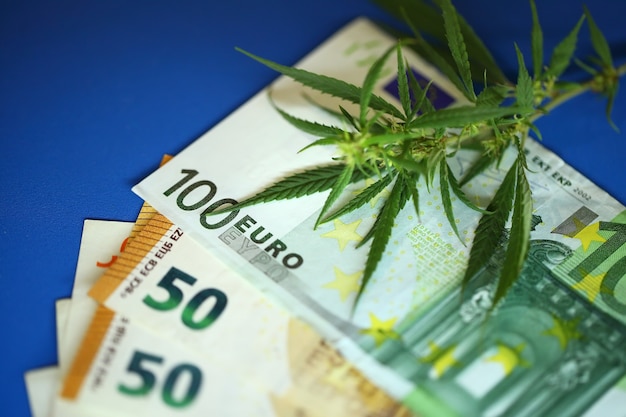 Cannabis medicinal terapéutico - flor de marihuana y droga de hachís con dinero de billetes de euro