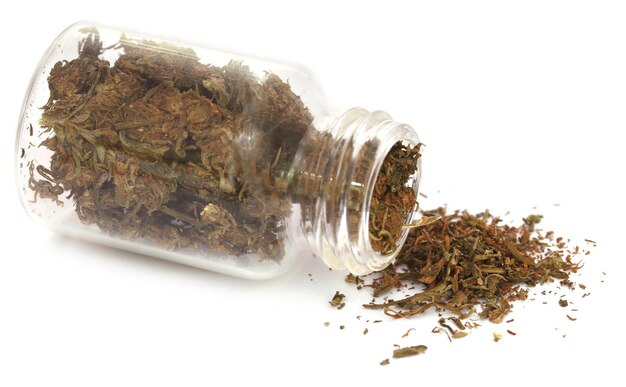 Cannabis medicinal utilizado como drogas legales en muchos países