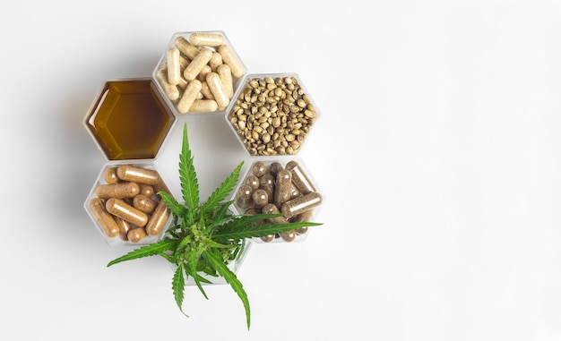Cannabis-Medizin-Kapseln, Hanföl und Samen und grüne Pflanze in Wabengläsern auf weißem Hintergrund