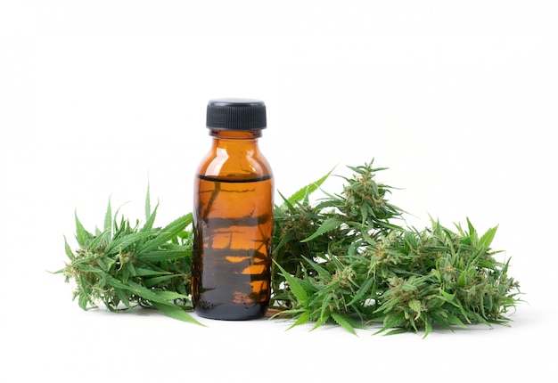 Cannabis mit Cannabidiol-Extrakt isoliert