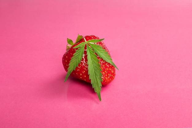 Cannabis mit Erdbeergeschmack, süße Beeren und Marihuanablätter.