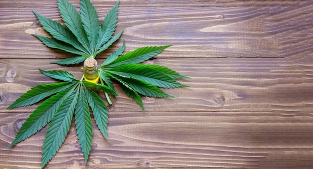 Cannabisblätter auf Holzhintergrund mit Flaschen, Cannabisöl. Selektiver Fokus