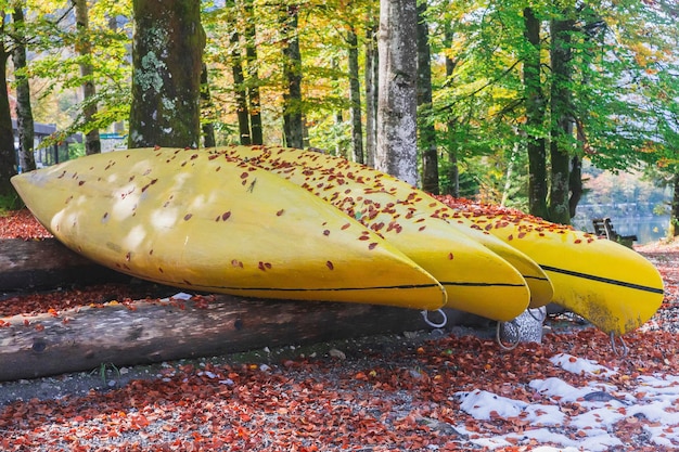 Canoa na floresta de outono na margem do Lago Bohinj na Eslovênia