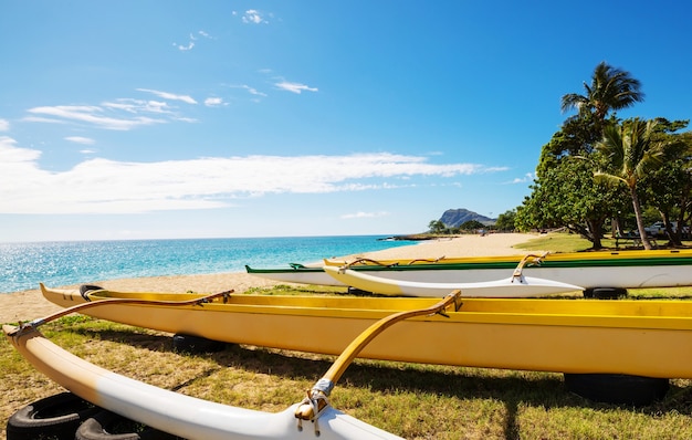 Canoa outrigger em praia havaiana