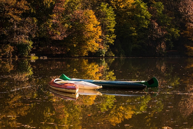 Foto canoas en un lago de niebla con follaje de otoño y reflejos de árboles