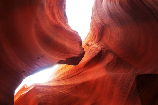 Cañón del antílope cerca de Page, Arizona