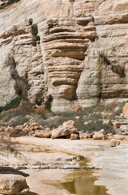 Cañón Avdat en el desierto de Negev, Israel