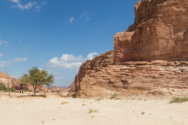 Cañón blanco con rocas amarillas. Egipto, desierto, la península del Sinaí, Dahab.