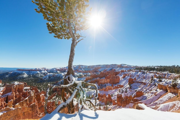 Cañón de Bryce con nieve en invierno.