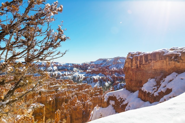 Cañón de Bryce con nieve en invierno.