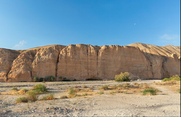 Cañón del cauce del río OG al amanecer en Israel