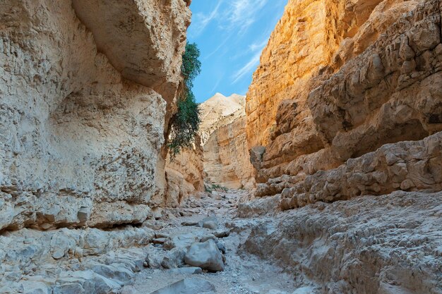 Cañón del cauce del río OG al amanecer en Israel