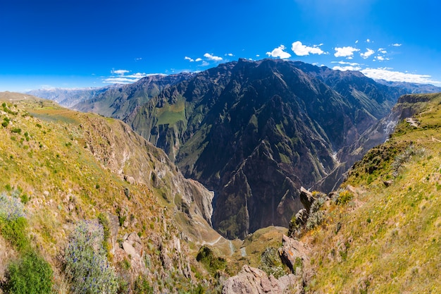 Cañon del colca, perú