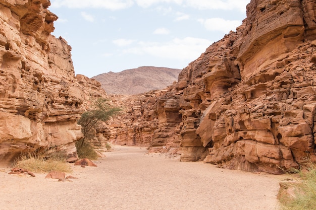 Foto cañón de color con rocas rojas. egipto, desierto, la península del sinaí, dahab.