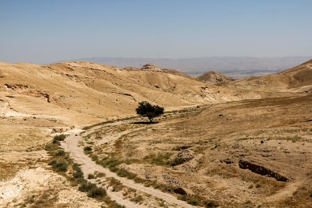 Cañón del desierto de Wadi Kelt en Israel