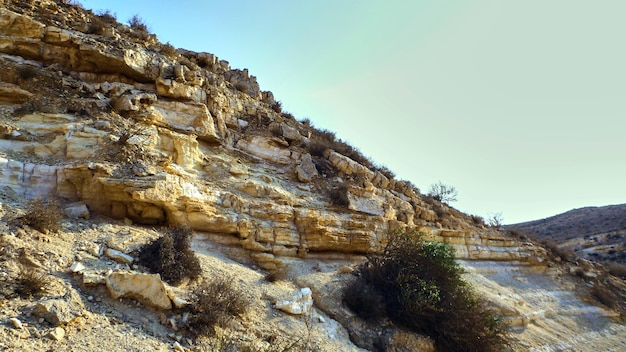 Cañón Ein Avdat en el desierto de Negev. Israel.