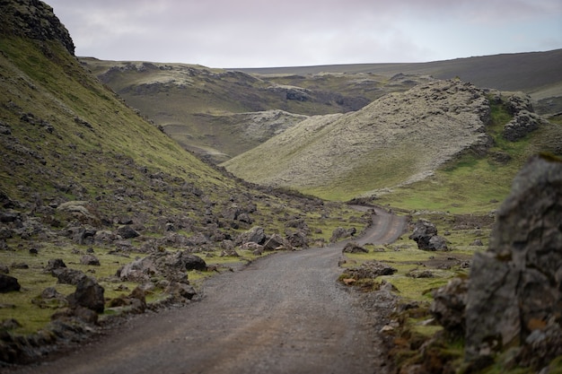 Cañón de Eldgja cubierto de musgo en las tierras altas de Islandia