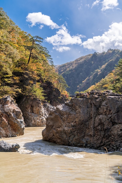 Cañón de la garganta de Ryuyo Nikko Japón