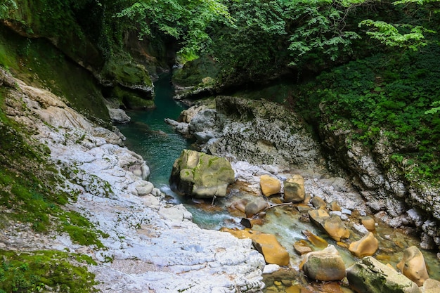 Cañón de Martvili en Georgia. Hermoso cañón natural con vista al río de montaña Abasha