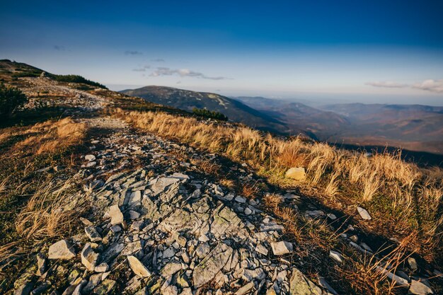 Un cañón con una montaña al fondo.