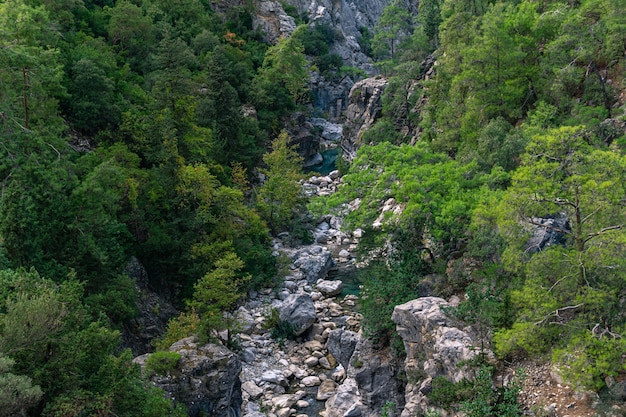 Cañón de montaña arbolado con un arroyo azul claro en un lecho rocoso, vista superior