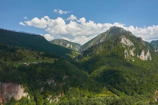 Foto cañón de montenegro del río tara