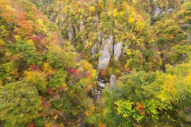 Cañón de Naruko con follaje de otoño