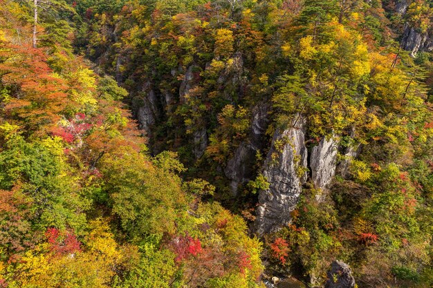 Cañón de Naruko en Japón