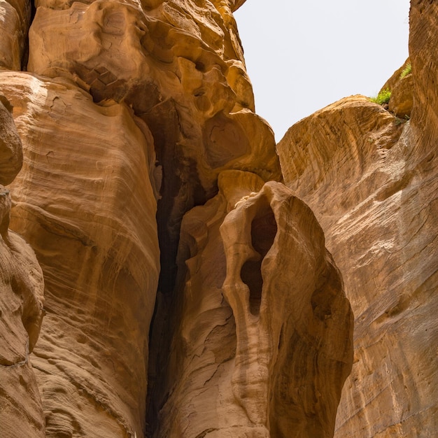 Cañón en Petra Jordania