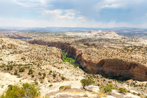 Cañón profundo, rocas y montañas.