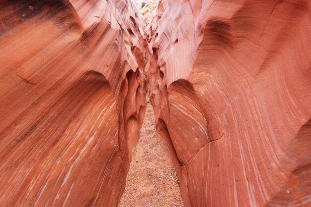 Cañón de ranura en el parque nacional Grand Staircase Escalante, Utah, EE. Las inusuales formaciones de arenisca de colores en los desiertos de Utah son un destino popular para los excursionistas.