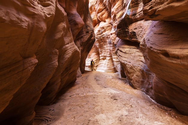 Cañón de ranura en el parque nacional Grand Staircase Escalante, Utah, EE. Las inusuales formaciones de arenisca de colores en los desiertos de Utah son un destino popular para los excursionistas.