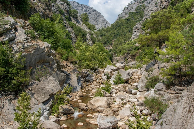 Un cañón con una ruta de senderismo Río de montaña Parte del sendero licio a través de la cordillera