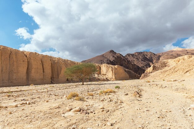 Cañón Shkhoret en el desierto de Arava Israel