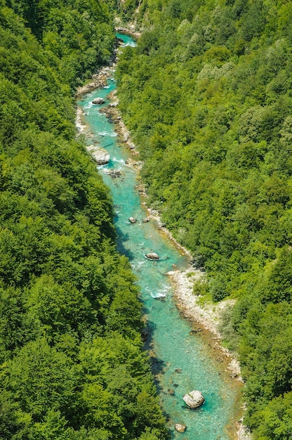 Cañón de Tara y Montenegro