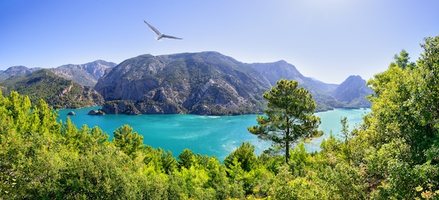 Cañón verde Embalse Oymapinar sobre el río Manavgat