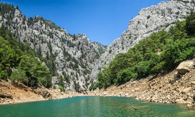 Cañón verde y río Manavgat en las montañas de la región de Antalya Turquía en un día soleado de verano