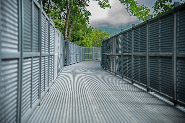 El Canopy Walk en el jardín botánico Queen Sirikit, una nueva atracción popular que eleva la altura a pie