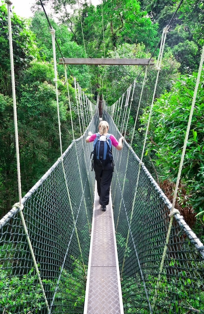 Canopy Walkway Borneo