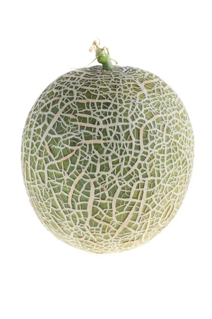 Cantaloupe-Melone auf weißem Hintergrund.